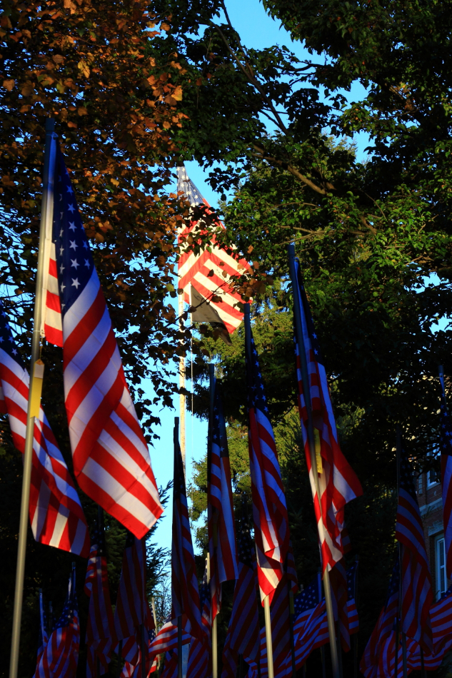 2010 11 01 IMG 14416